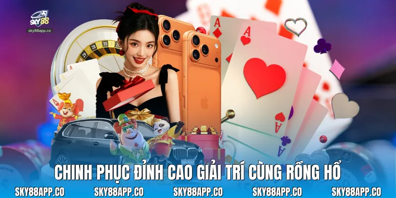 Chinh phục đỉnh cao giải trí cùng rồng hổ